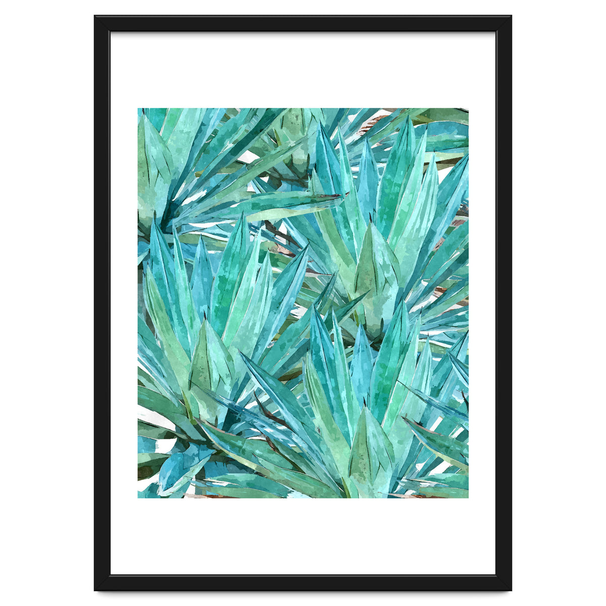 Agave