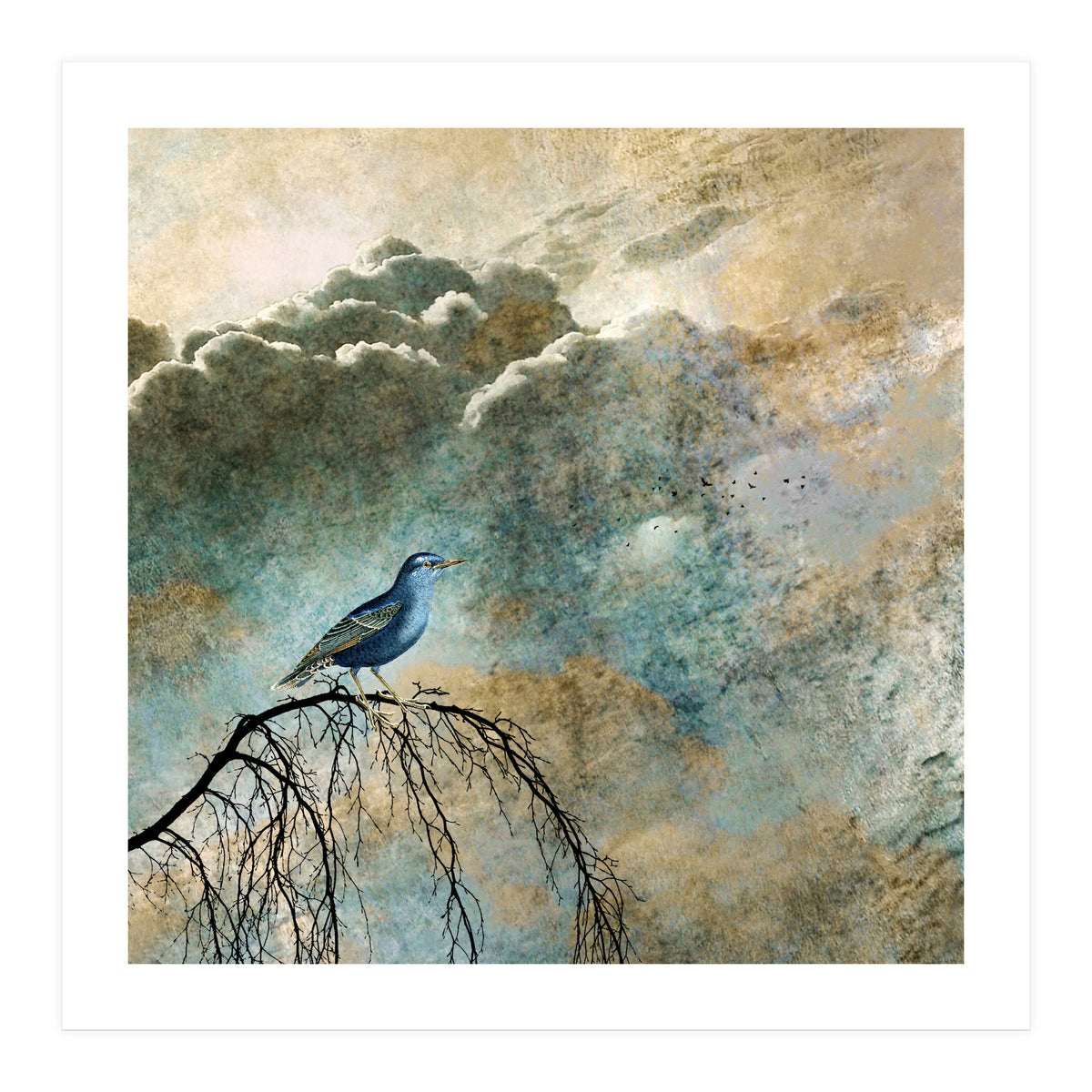 HEAVENLY BIRD IIa (Print Only)