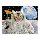Nasacatadjustcolor (Print Only) thumbnail
