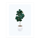 FIddle Leaf Fig gold and green (Print Only) thumbnail