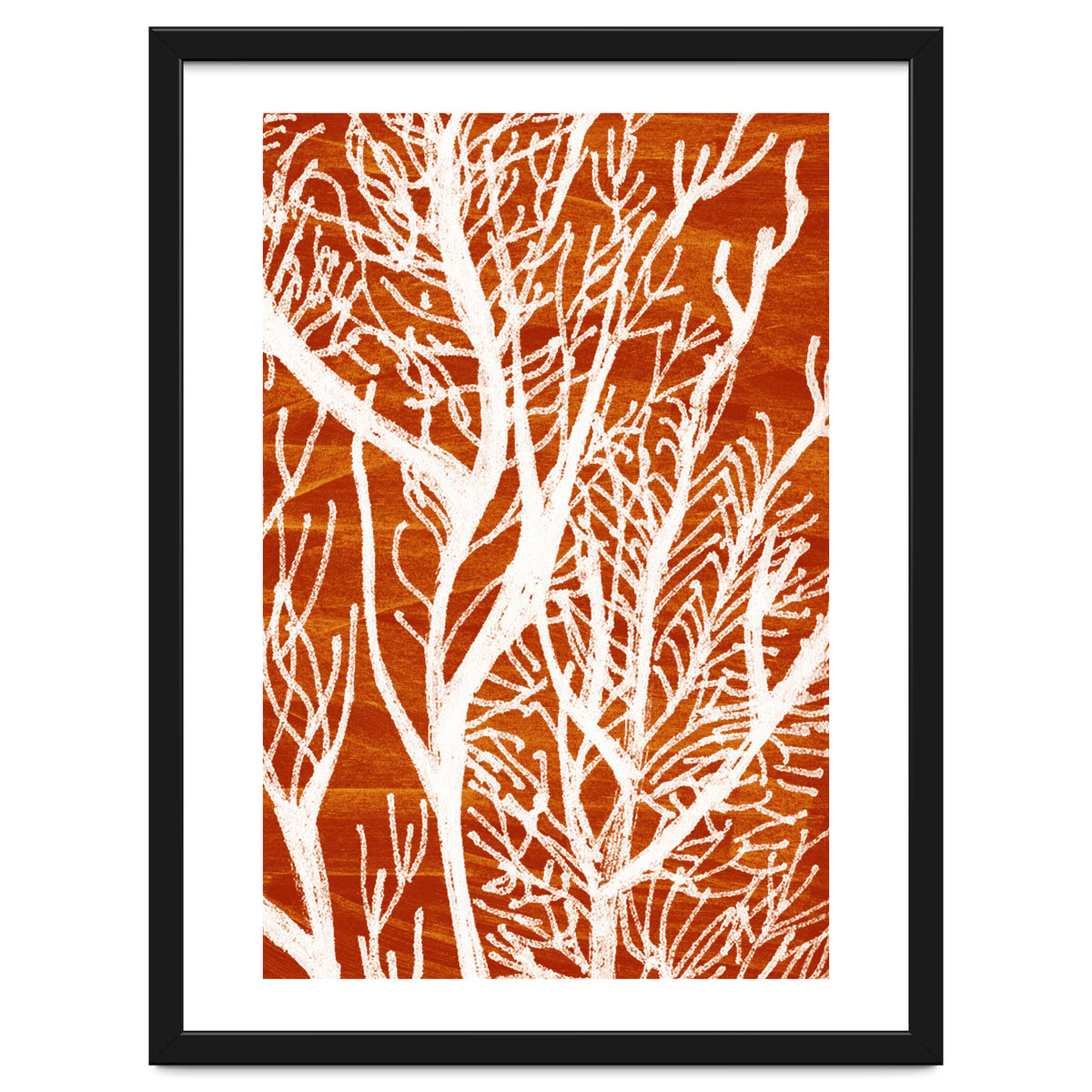 Desert Colours Collection 2