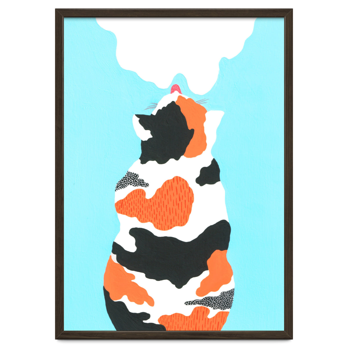 Tri Colored Calico Cat