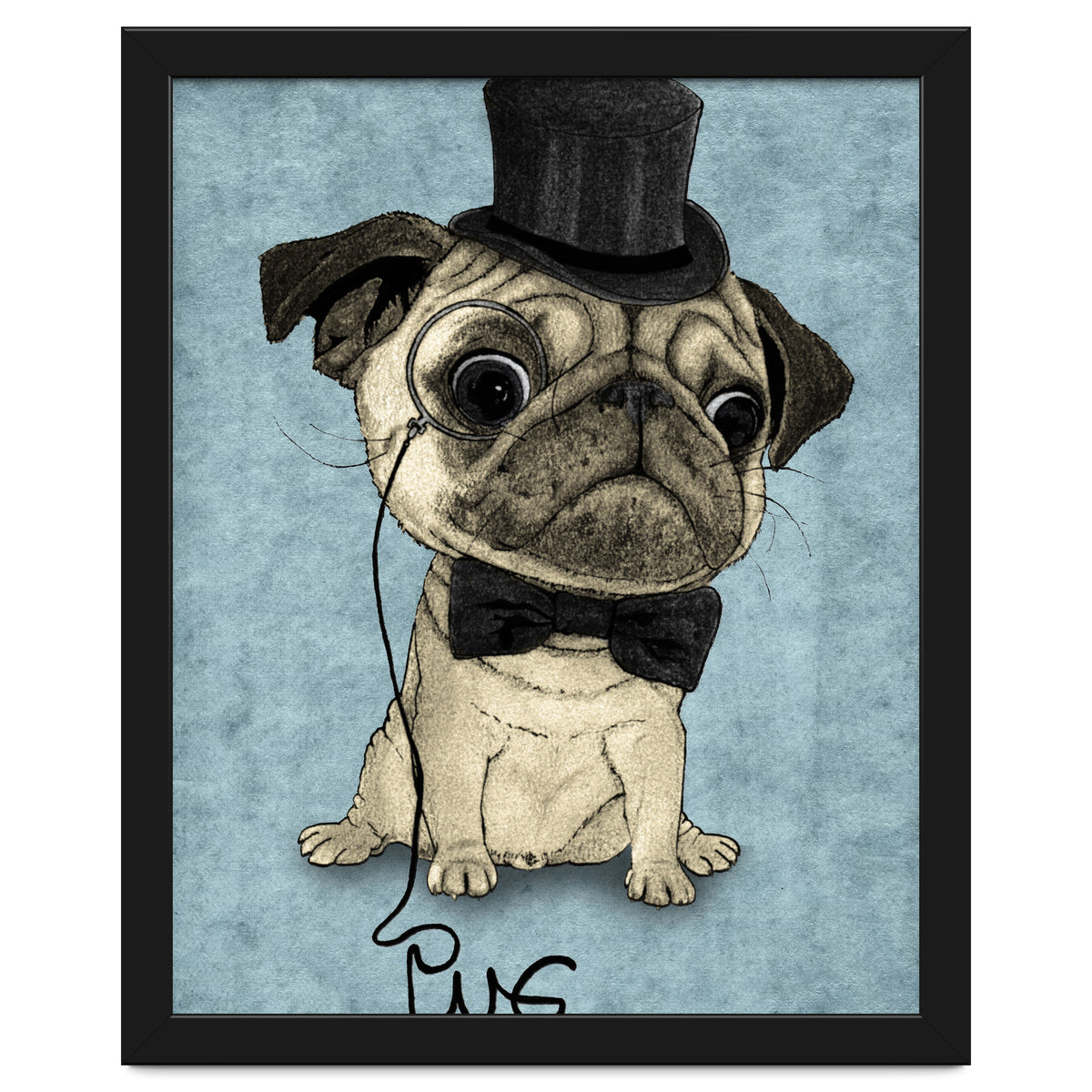 Pug, Gentle Pug