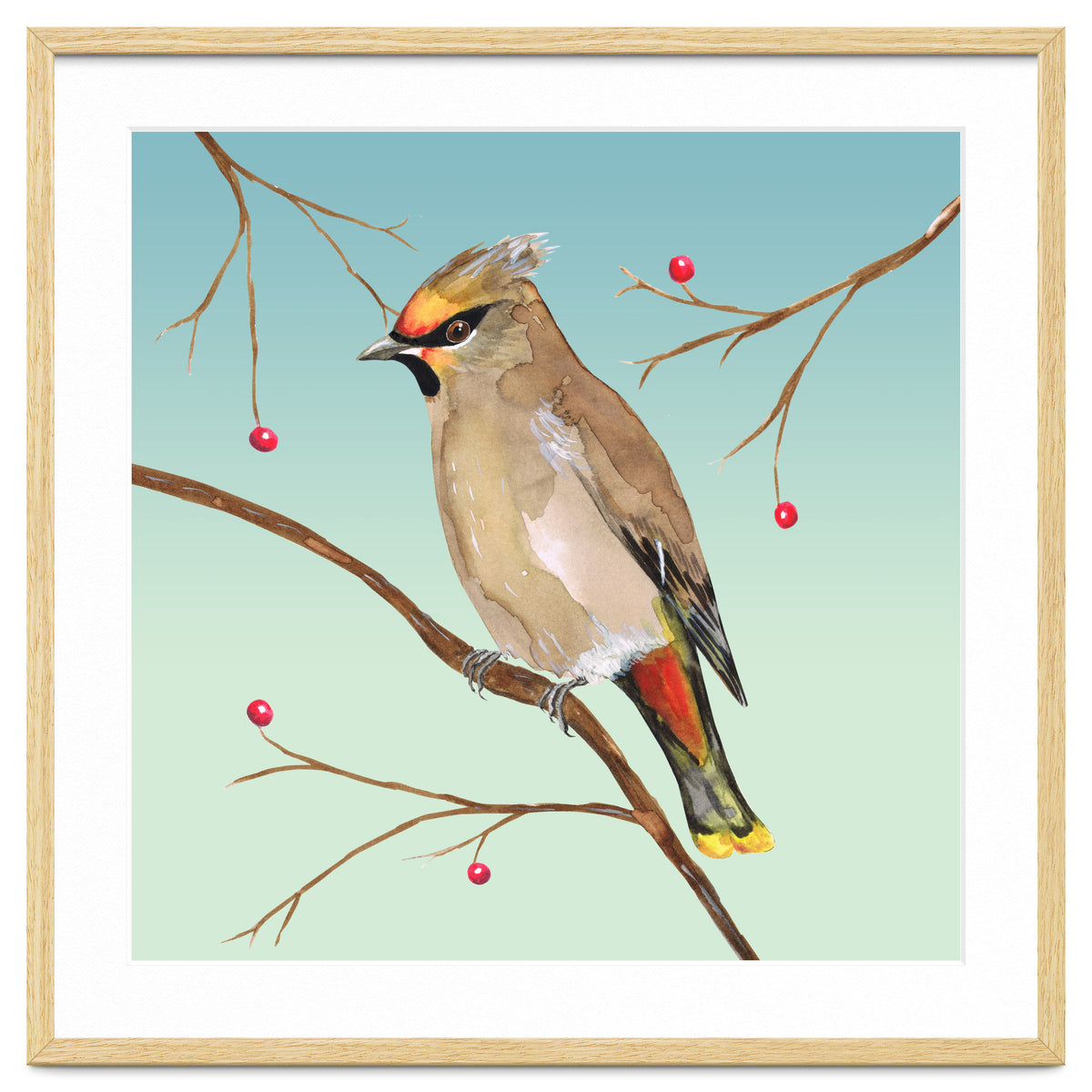 Bohemian waxwing