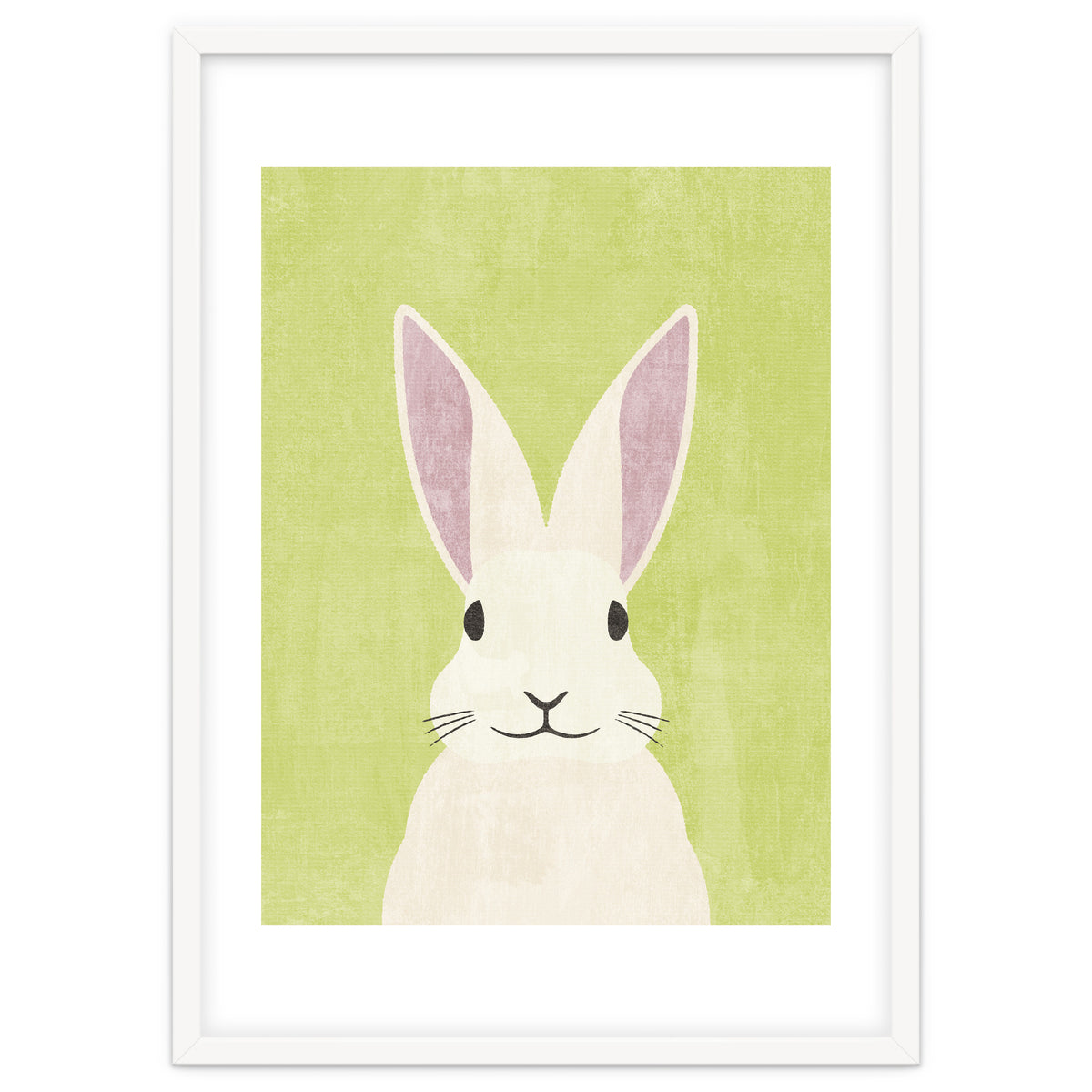 FAUNA / Rabbit