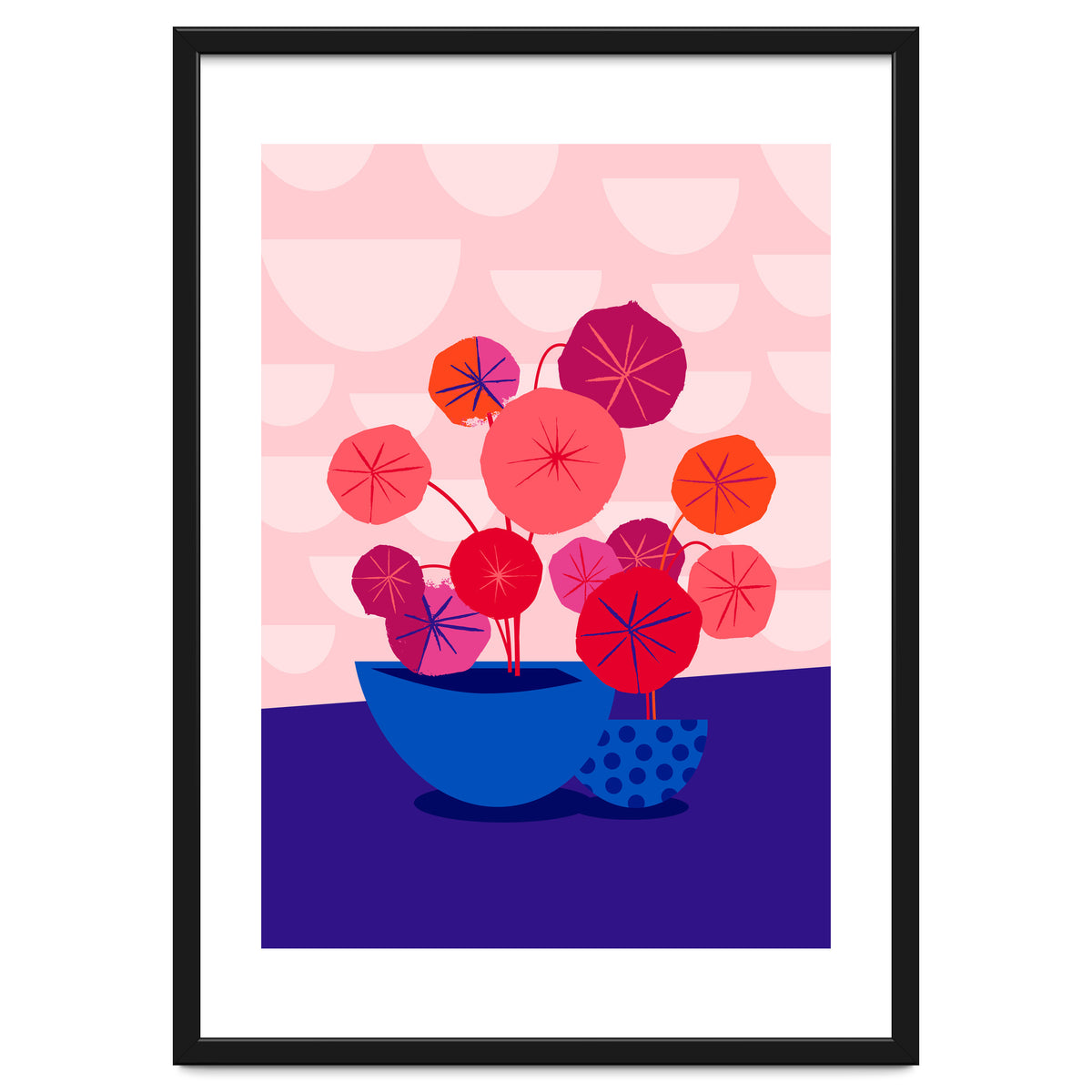 Pileas in Red and Pink