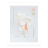 Modern Vintage Botanic (Print Only) thumbnail
