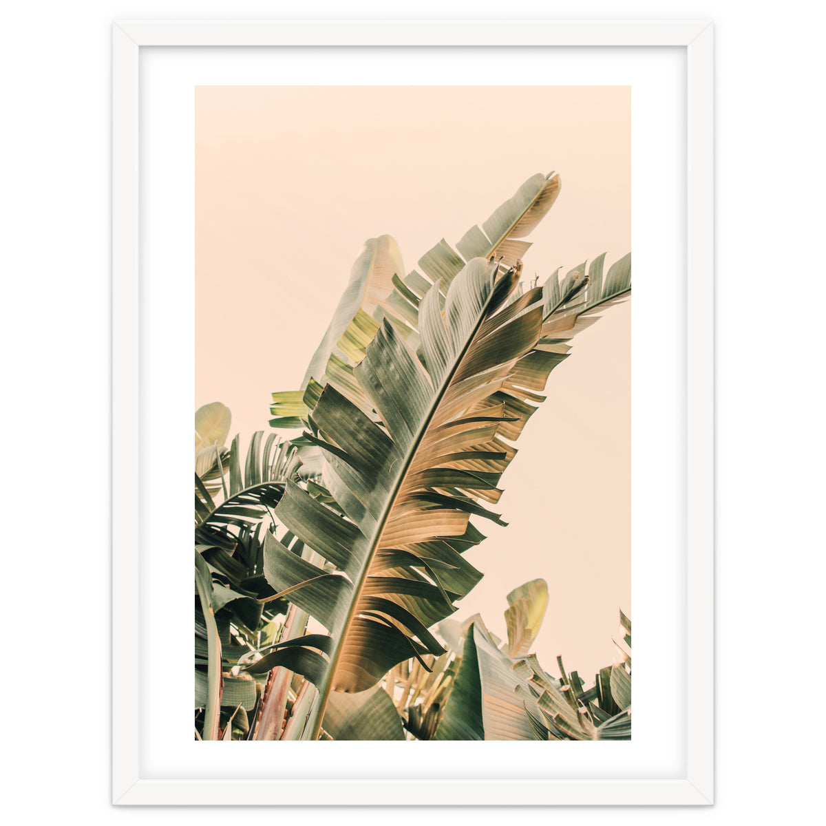 Growing Green Alicia Bock