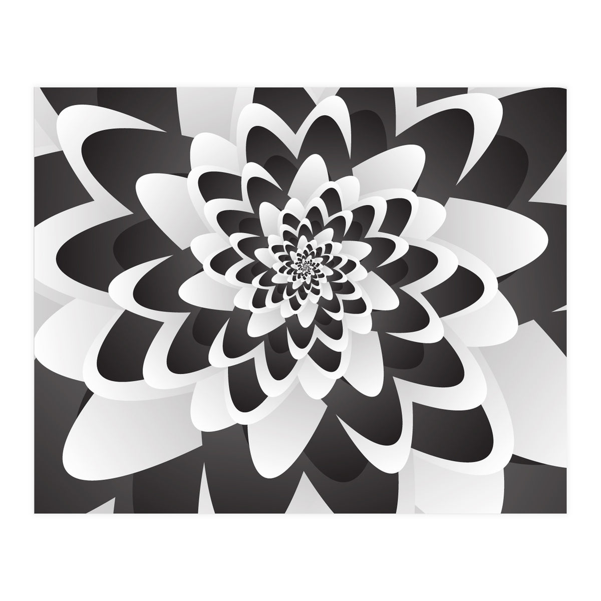 Mono Chrome Flower Spiral   (Print Only)
