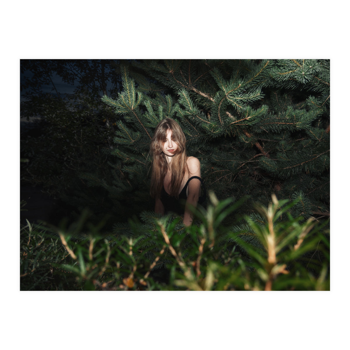 Hiding Game (Print Only)