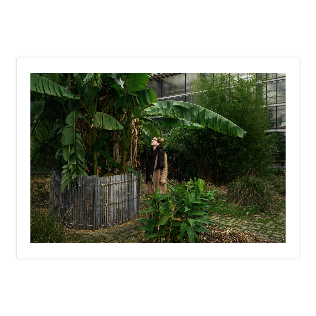 Transition from Summer to Winter (Print Only)