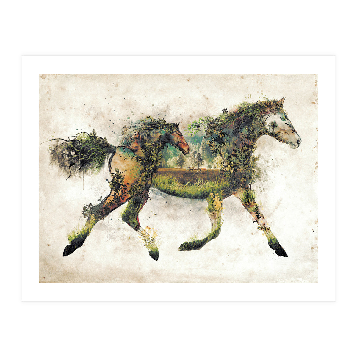 The Horse Surrealism (Print Only)