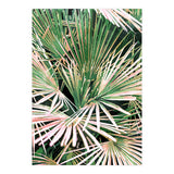 Palms II (Print Only) thumbnail