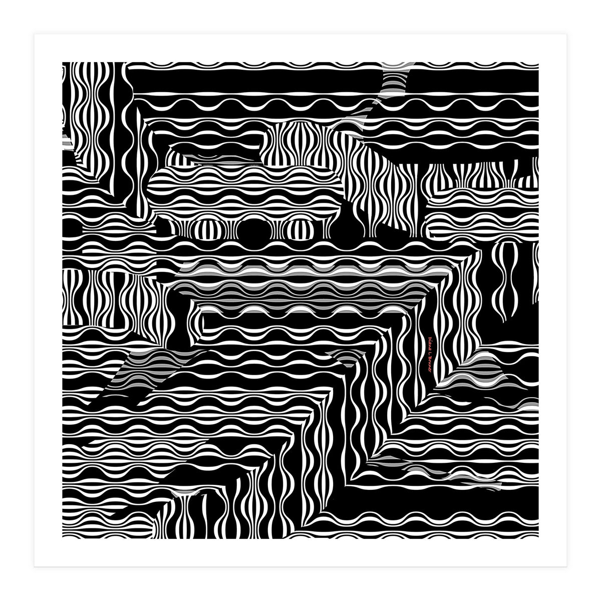 BLACK AND WHITE EXOTIC (Print Only)