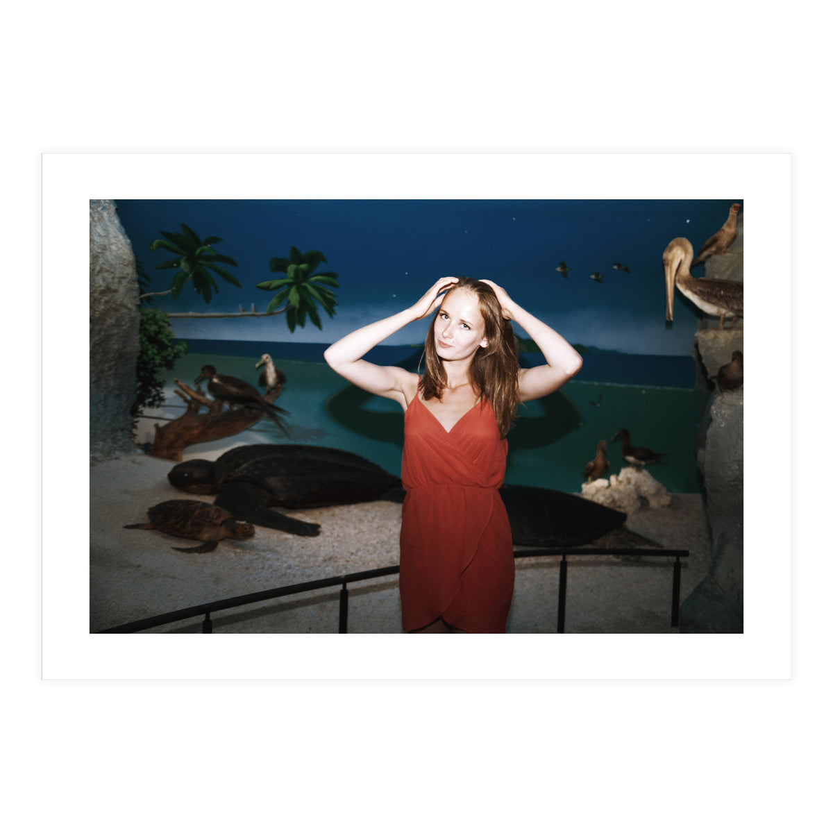 Galapagos (Print Only)