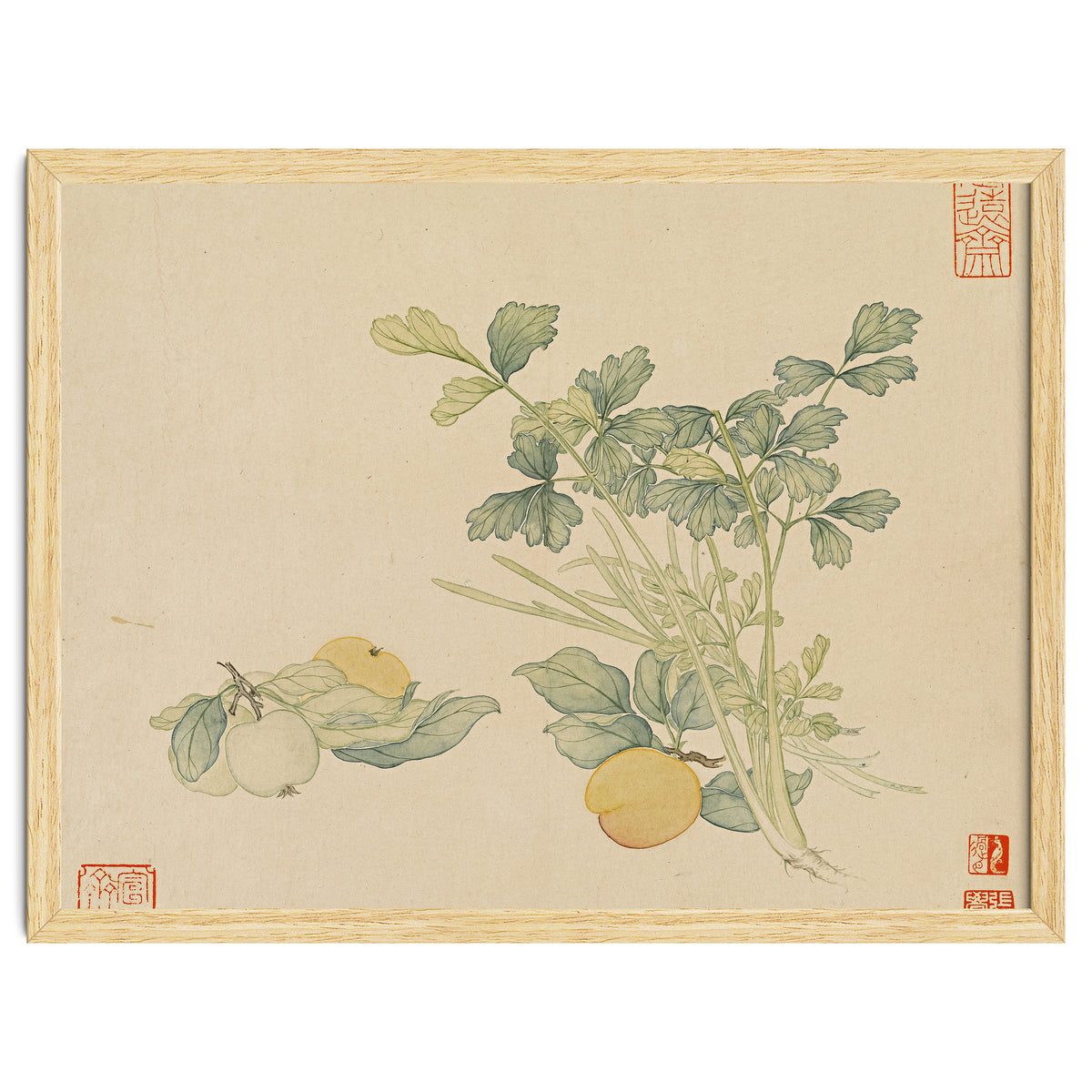 Wang Chengyu~flowers And Vegetables, Vegetables, Fruits, Plums, Apricots, Celery