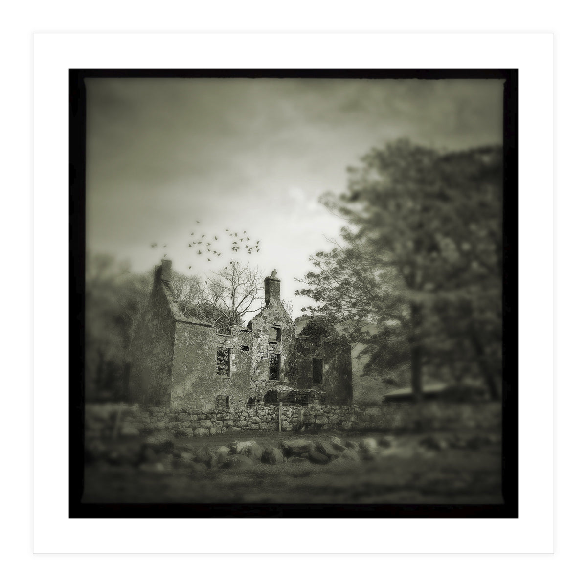 Gesto House (Print Only)