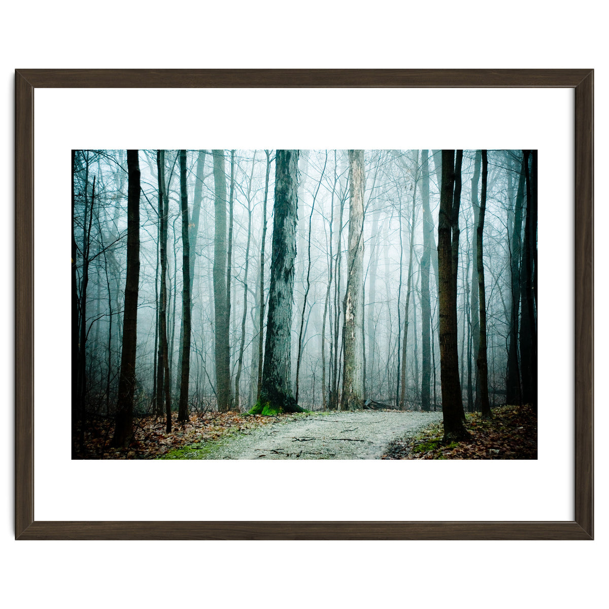 Gather Up Your Dreams