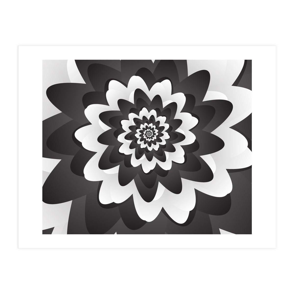 Mono Chrome Flower Spiral Pattern (Print Only)