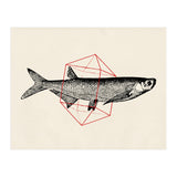 Fish In Geometrics II (Print Only) thumbnail