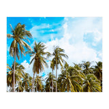 Bali (Print Only) thumbnail