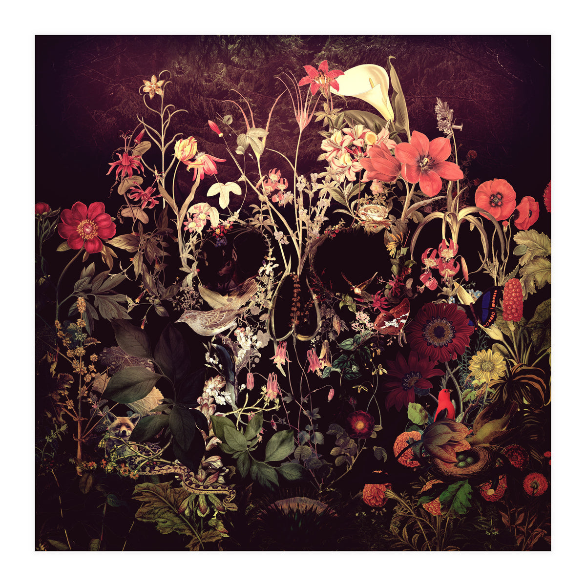 Bloom Skull (Print Only)