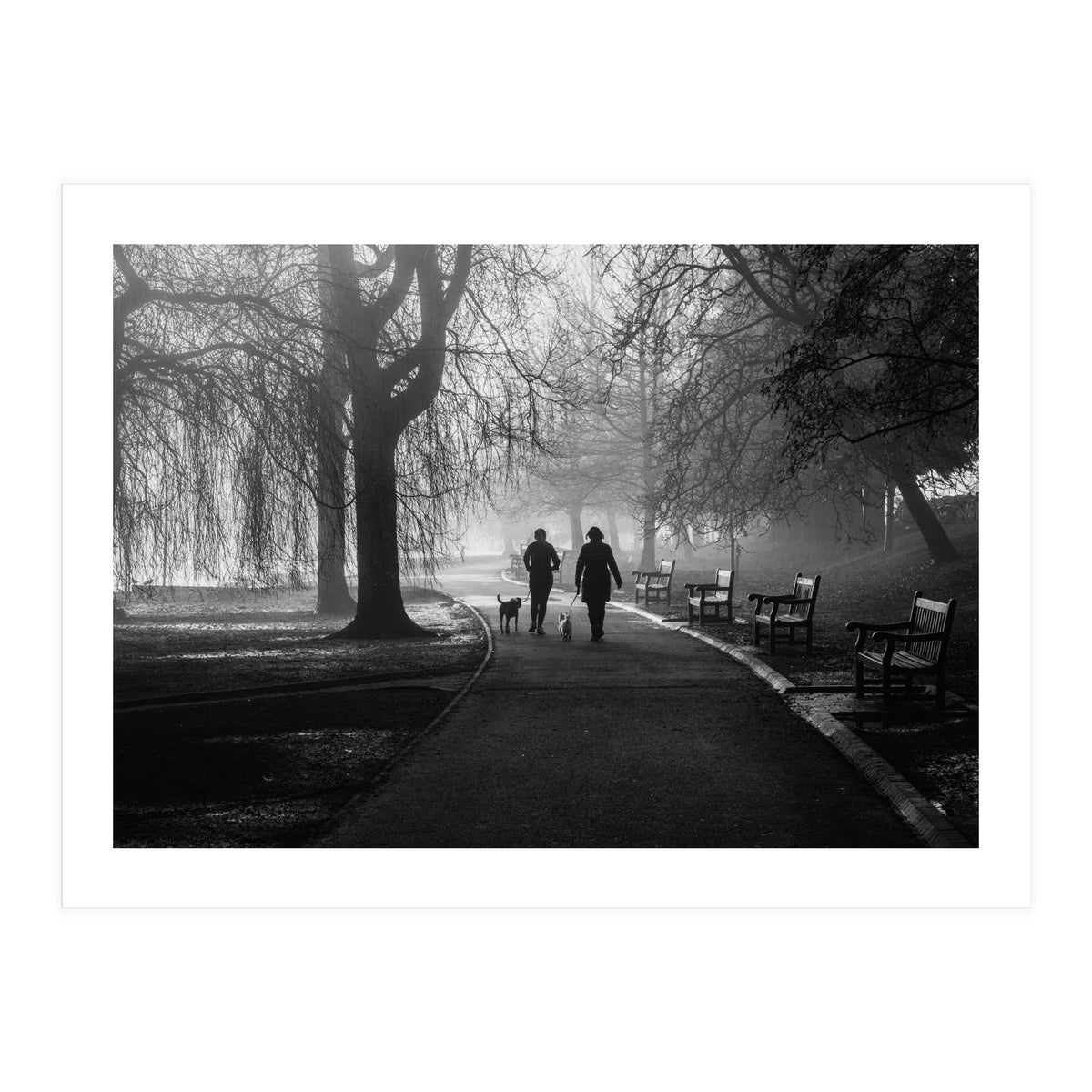 Misty Morning (Print Only)