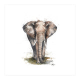 Elephant - Wildlife Collection (Print Only) thumbnail