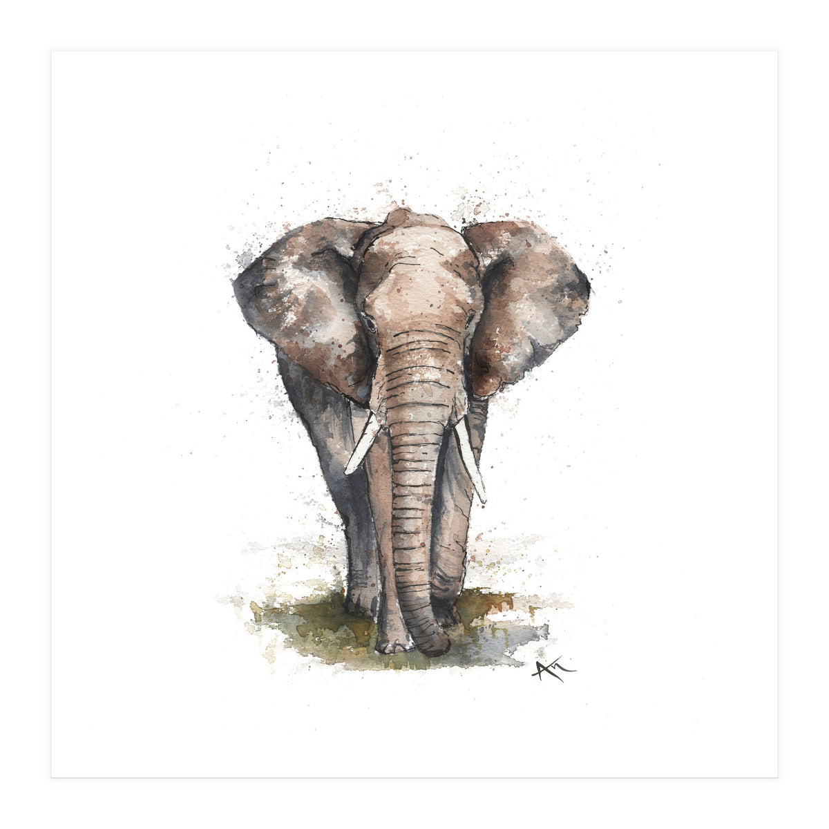 Elephant - Wildlife Collection (Print Only)