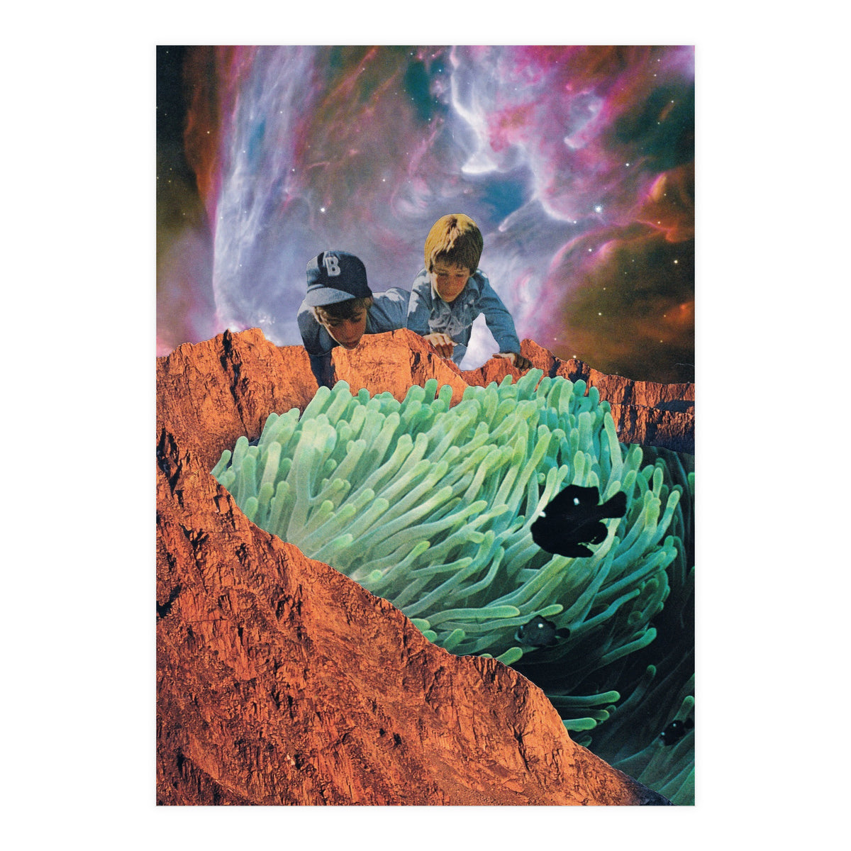 Blackfish (Print Only)