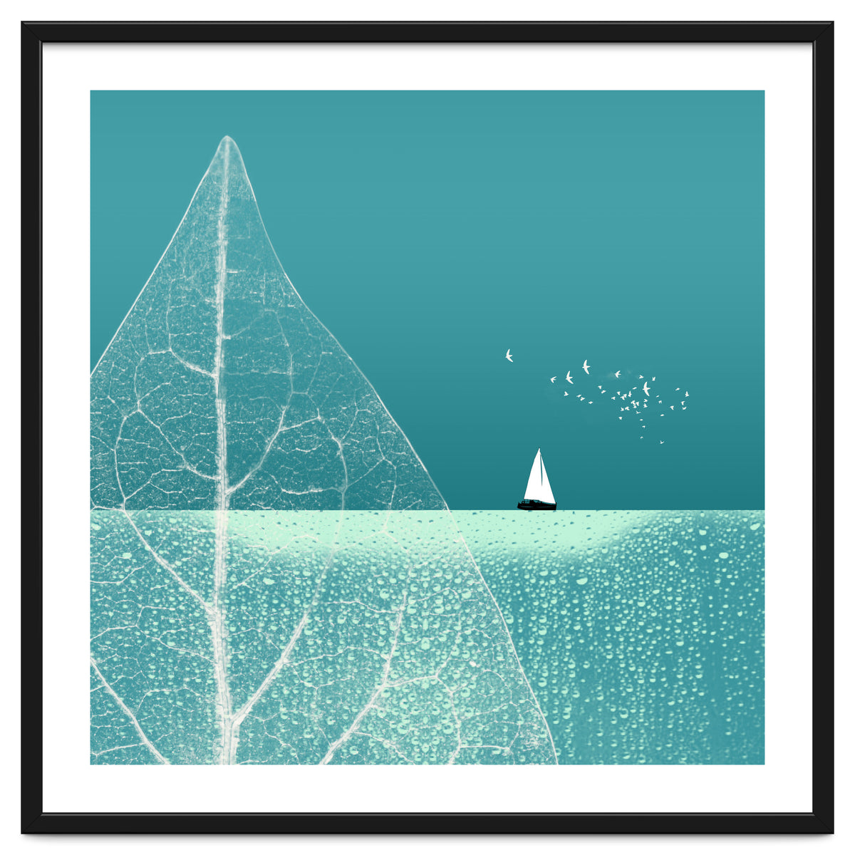 Ocean Wonderland Ii-B