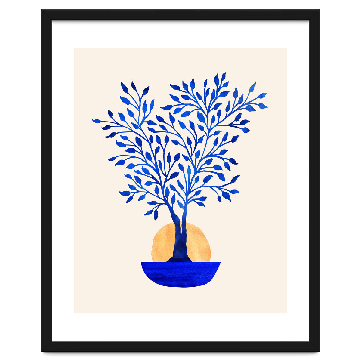 Indigo Ficus Sunrise
