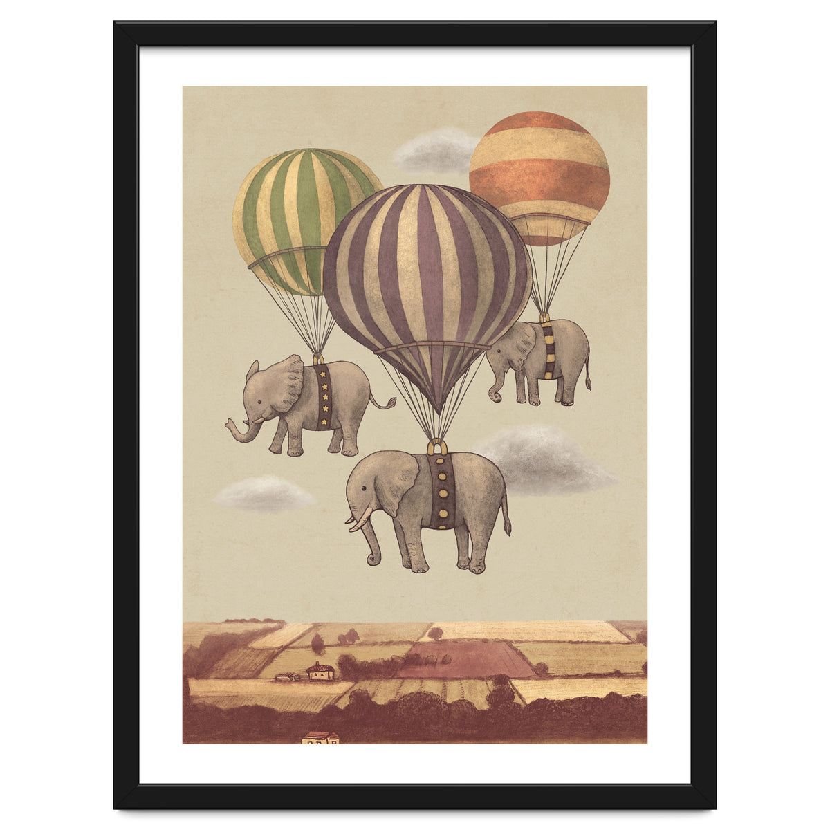 Flight Of The Elephants