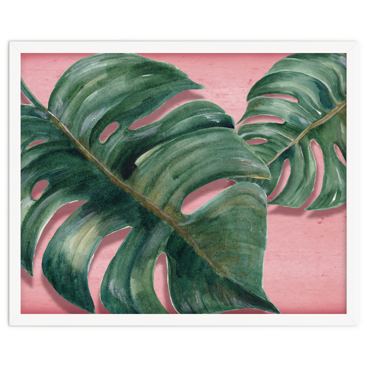 Monstera Leaf