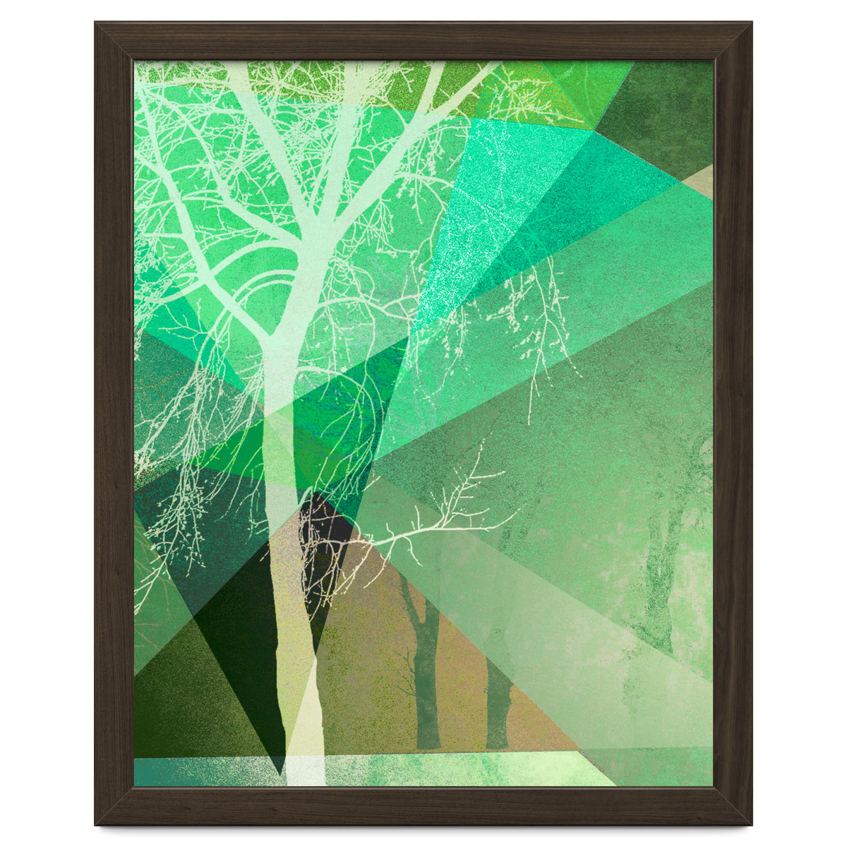 P22 B Trees And Triangles