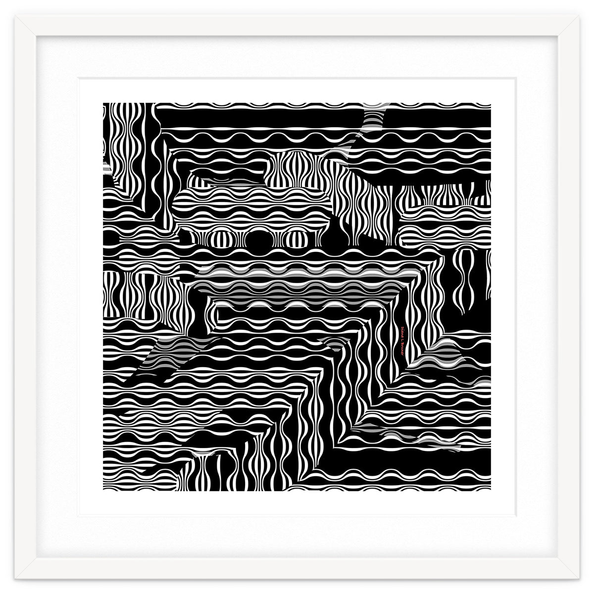 BLACK AND WHITE EXOTIC