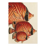 Fish Classic Designs 2 (Print Only) thumbnail