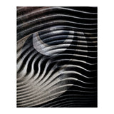 Dark Eyes  (Print Only) thumbnail