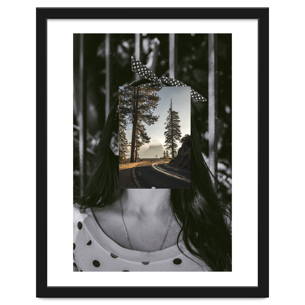 Silva Where Are You?