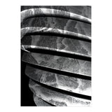 Parole I  (Print Only) thumbnail