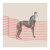Dogmother (Print Only) thumbnail