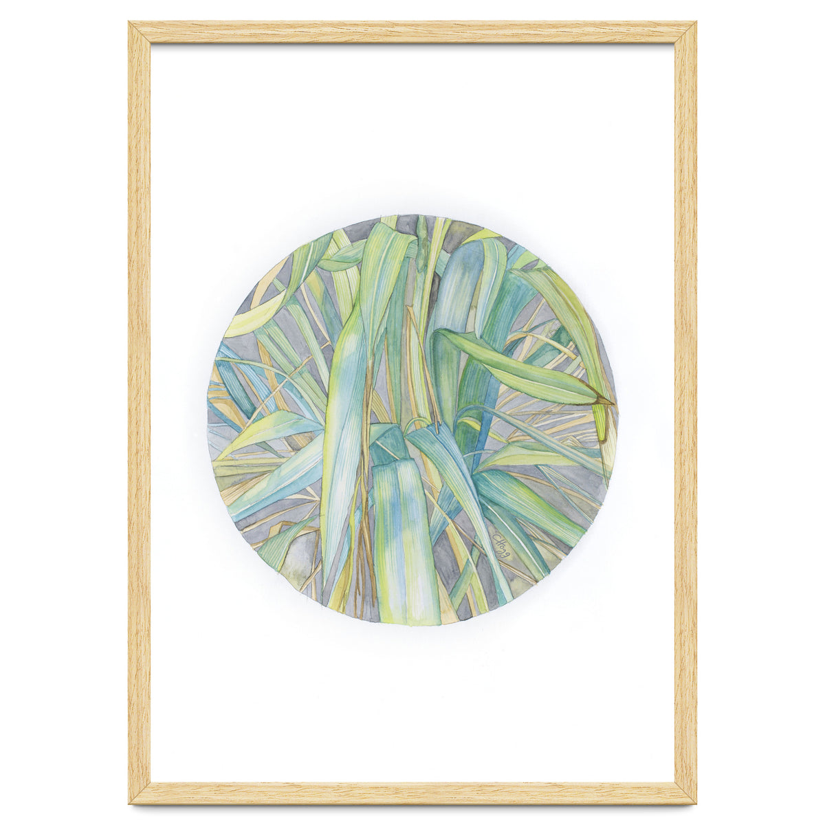 Grasses In The Late Summer Light