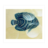 Fish Between Circles (Print Only) thumbnail