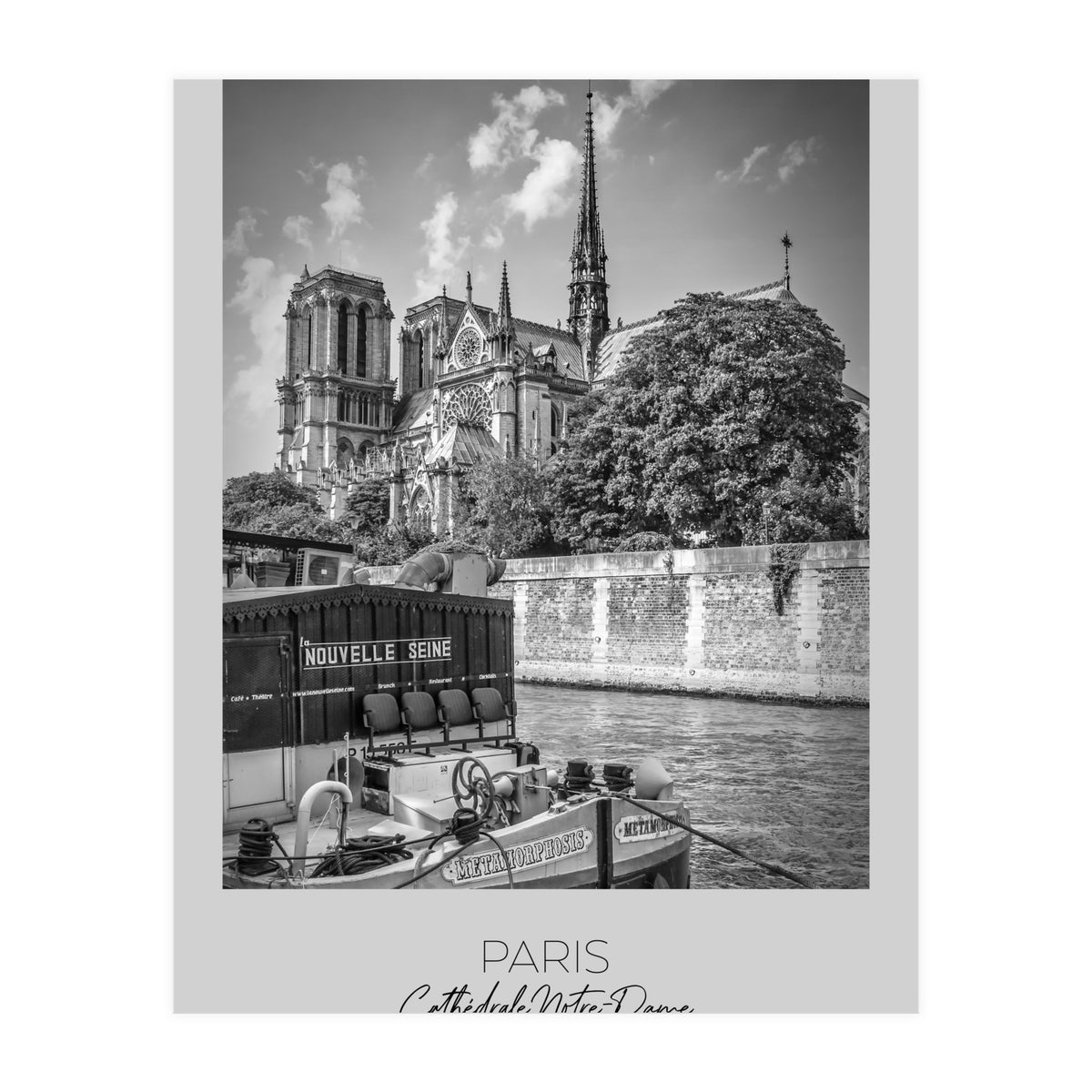 In focus: PARIS Cathedral Notre-Dame  (Print Only)