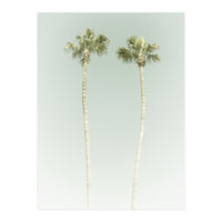 Vintage Palm Trees  (Print Only)