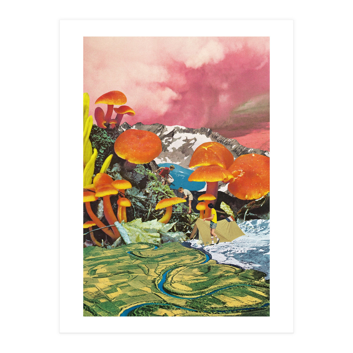 Mushroom Valley (Print Only)