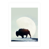 Wild West (Print Only) thumbnail