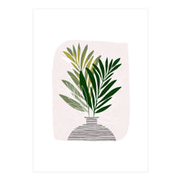 Olive Branches (Print Only)