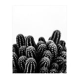 cactus nature X (Print Only) thumbnail
