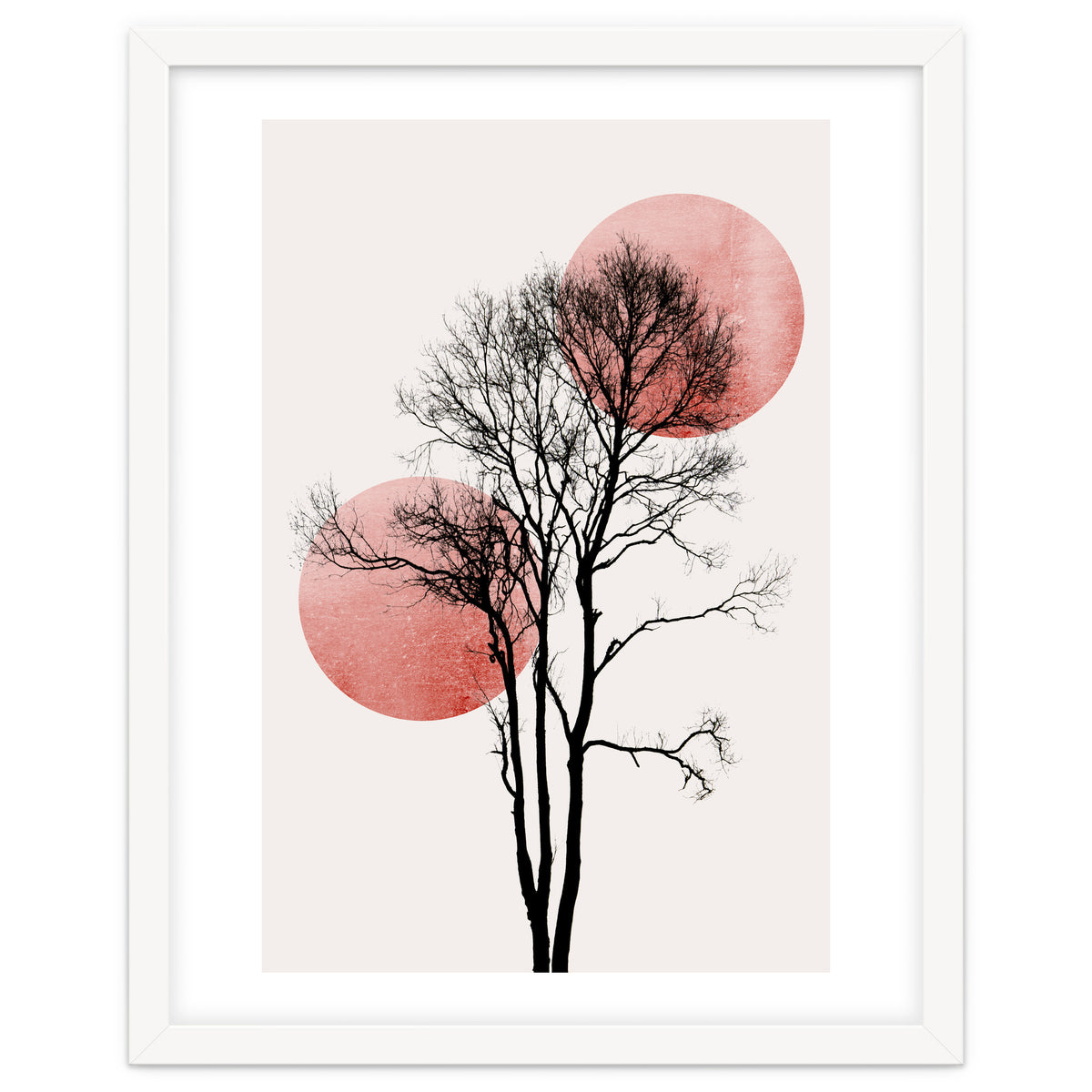 Sun And Moon Hiding Rosè